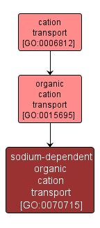 GO:0070715 - sodium-dependent organic cation transport (interactive image map)