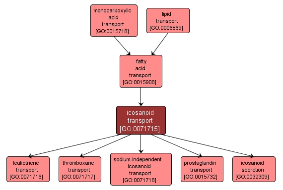 GO:0071715 - icosanoid transport (interactive image map)