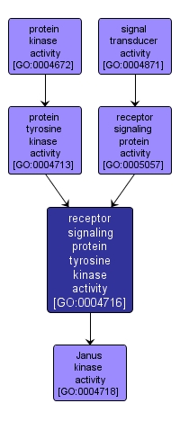 GO:0004716 - receptor signaling protein tyrosine kinase activity (interactive image map)