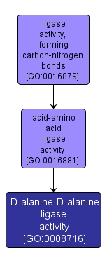 GO:0008716 - D-alanine-D-alanine ligase activity (interactive image map)
