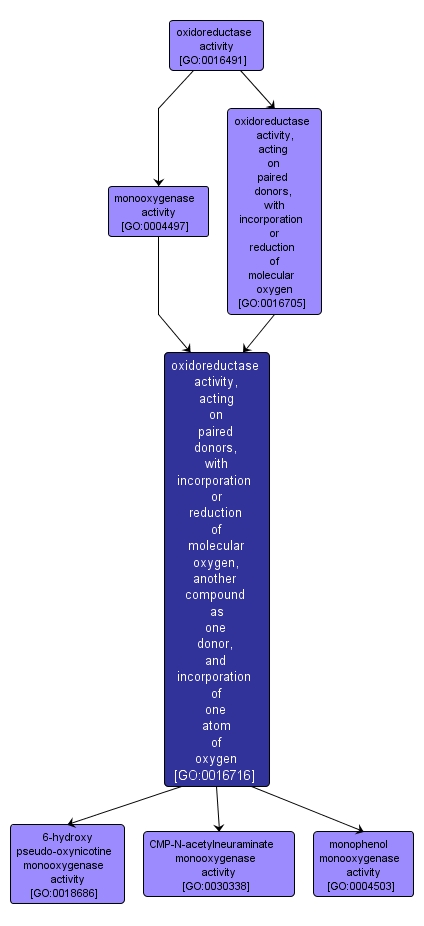 GO:0016716 - oxidoreductase activity, acting on paired donors, with incorporation or reduction of molecular oxygen, another compound as one donor, and incorporation of one atom of oxygen (interactive image map)