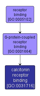 GO:0031716 - calcitonin receptor binding (interactive image map)