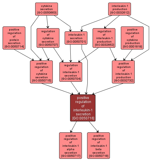 GO:0050716 - positive regulation of interleukin-1 secretion (interactive image map)