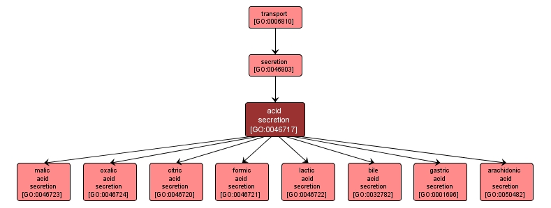 GO:0046717 - acid secretion (interactive image map)