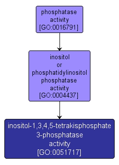 GO:0051717 - inositol-1,3,4,5-tetrakisphosphate 3-phosphatase activity (interactive image map)