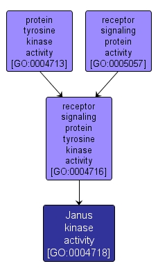 GO:0004718 - Janus kinase activity (interactive image map)