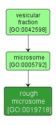 GO:0019718 - rough microsome (interactive image map)
