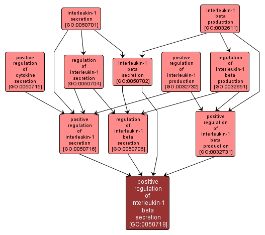 GO:0050718 - positive regulation of interleukin-1 beta secretion (interactive image map)