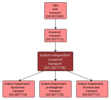 GO:0071718 - sodium-independent icosanoid transport (interactive image map)