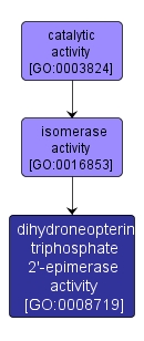 GO:0008719 - dihydroneopterin triphosphate 2'-epimerase activity (interactive image map)
