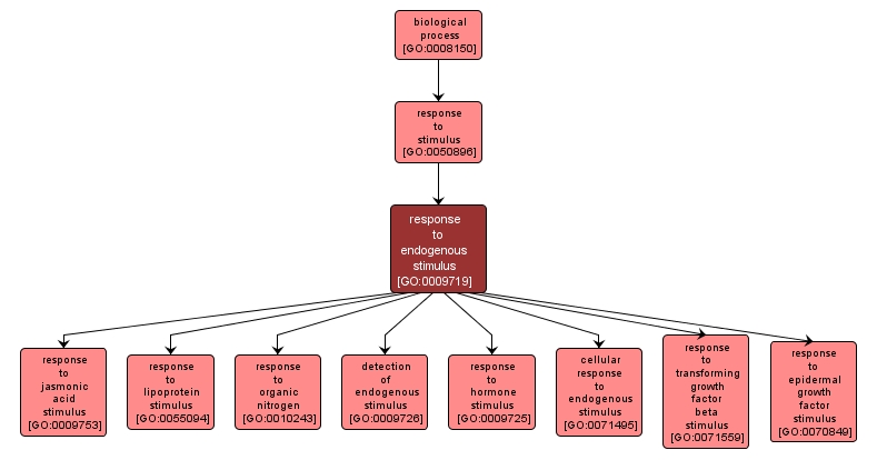 GO:0009719 - response to endogenous stimulus (interactive image map)