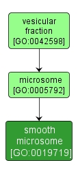 GO:0019719 - smooth microsome (interactive image map)