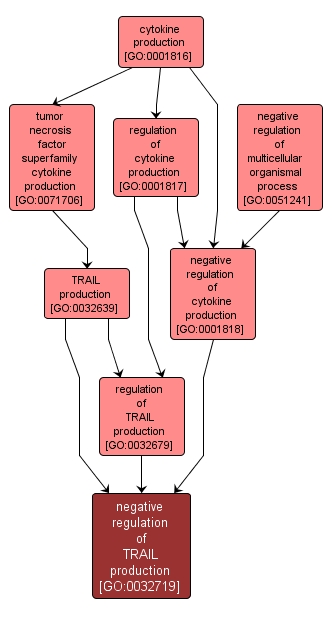 GO:0032719 - negative regulation of TRAIL production (interactive image map)