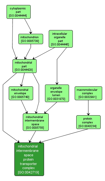 GO:0042719 - mitochondrial intermembrane space protein transporter complex (interactive image map)