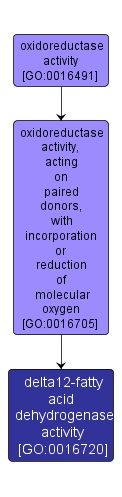 GO:0016720 - delta12-fatty acid dehydrogenase activity (interactive image map)
