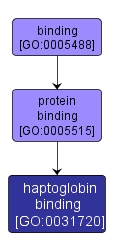 GO:0031720 - haptoglobin binding (interactive image map)