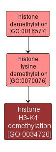 GO:0034720 - histone H3-K4 demethylation (interactive image map)