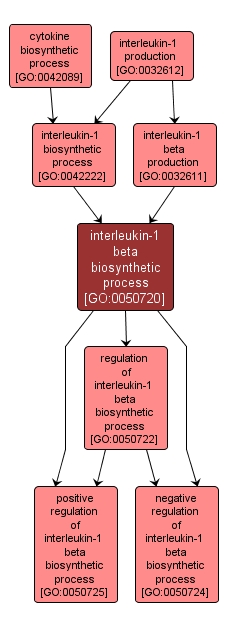 GO:0050720 - interleukin-1 beta biosynthetic process (interactive image map)