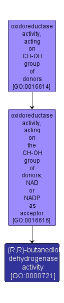 GO:0000721 - (R,R)-butanediol dehydrogenase activity (interactive image map)