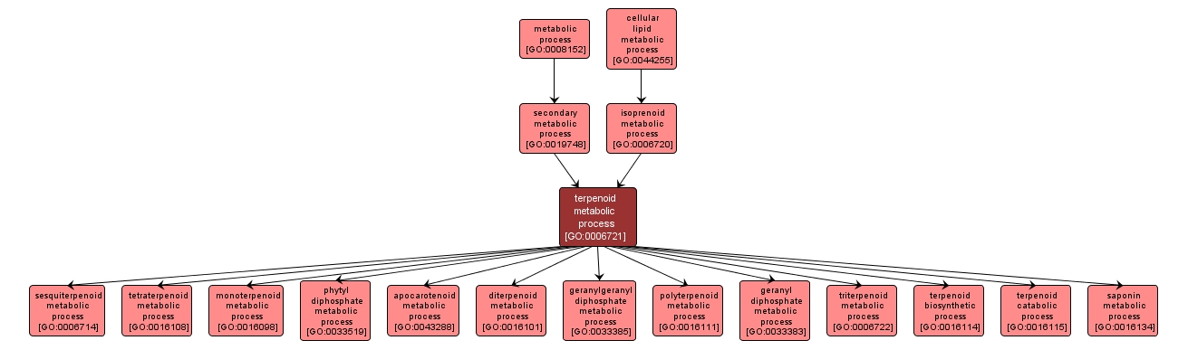 GO:0006721 - terpenoid metabolic process (interactive image map)