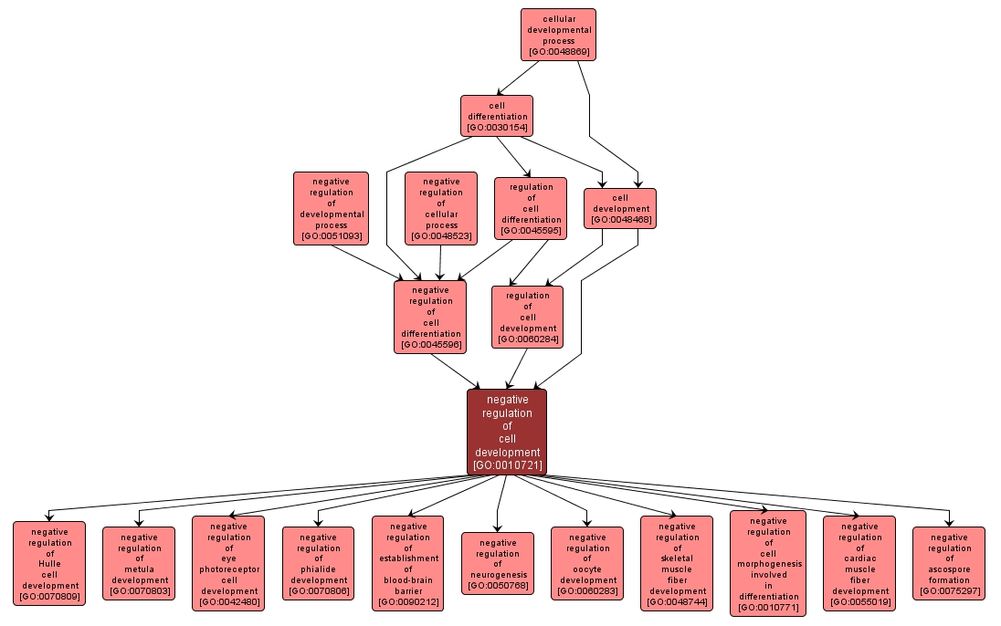 GO:0010721 - negative regulation of cell development (interactive image map)