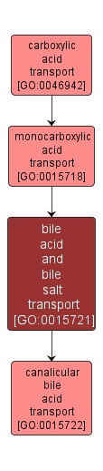 GO:0015721 - bile acid and bile salt transport (interactive image map)