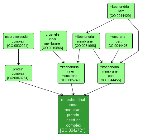 GO:0042721 - mitochondrial inner membrane protein insertion complex (interactive image map)