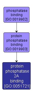 GO:0051721 - protein phosphatase 2A binding (interactive image map)