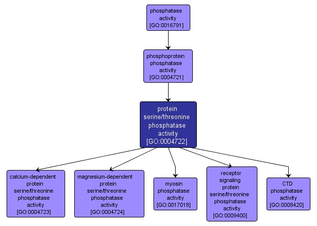 GO:0004722 - protein serine/threonine phosphatase activity (interactive image map)