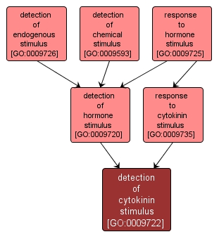 GO:0009722 - detection of cytokinin stimulus (interactive image map)