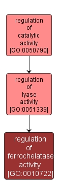 GO:0010722 - regulation of ferrochelatase activity (interactive image map)