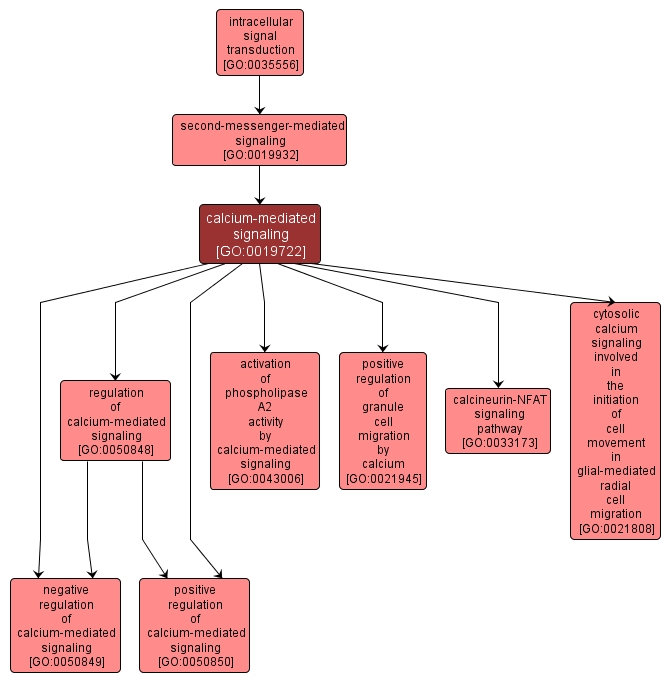 GO:0019722 - calcium-mediated signaling (interactive image map)