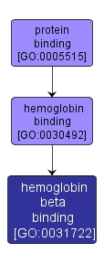 GO:0031722 - hemoglobin beta binding (interactive image map)