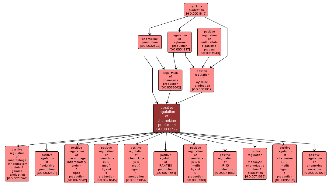 GO:0032722 - positive regulation of chemokine production (interactive image map)