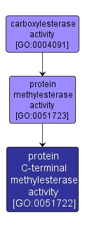 GO:0051722 - protein C-terminal methylesterase activity (interactive image map)