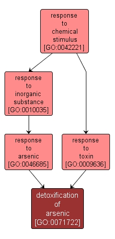 GO:0071722 - detoxification of arsenic (interactive image map)