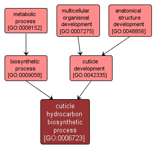 GO:0006723 - cuticle hydrocarbon biosynthetic process (interactive image map)