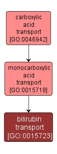 GO:0015723 - bilirubin transport (interactive image map)