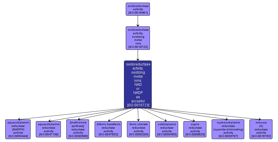 GO:0016723 - oxidoreductase activity, oxidizing metal ions, NAD or NADP as acceptor (interactive image map)