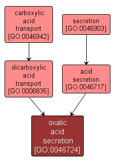 GO:0046724 - oxalic acid secretion (interactive image map)
