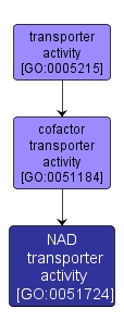 GO:0051724 - NAD transporter activity (interactive image map)