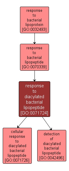GO:0071724 - response to diacylated bacterial lipopeptide (interactive image map)