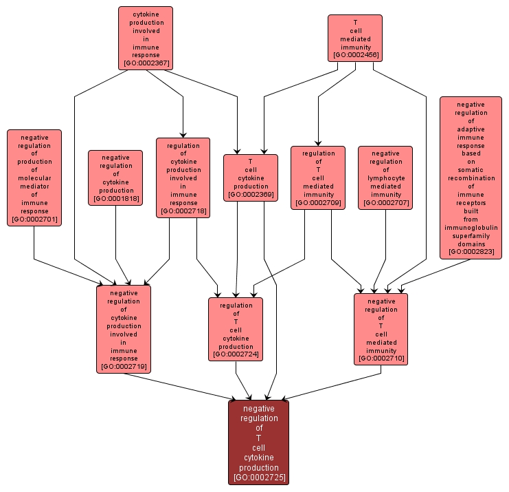 GO:0002725 - negative regulation of T cell cytokine production (interactive image map)