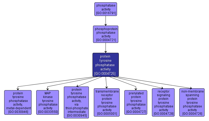 GO:0004725 - protein tyrosine phosphatase activity (interactive image map)