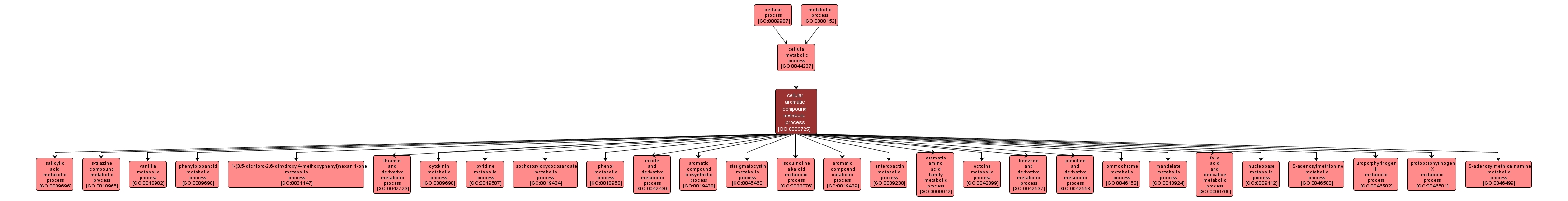 GO:0006725 - cellular aromatic compound metabolic process (interactive image map)