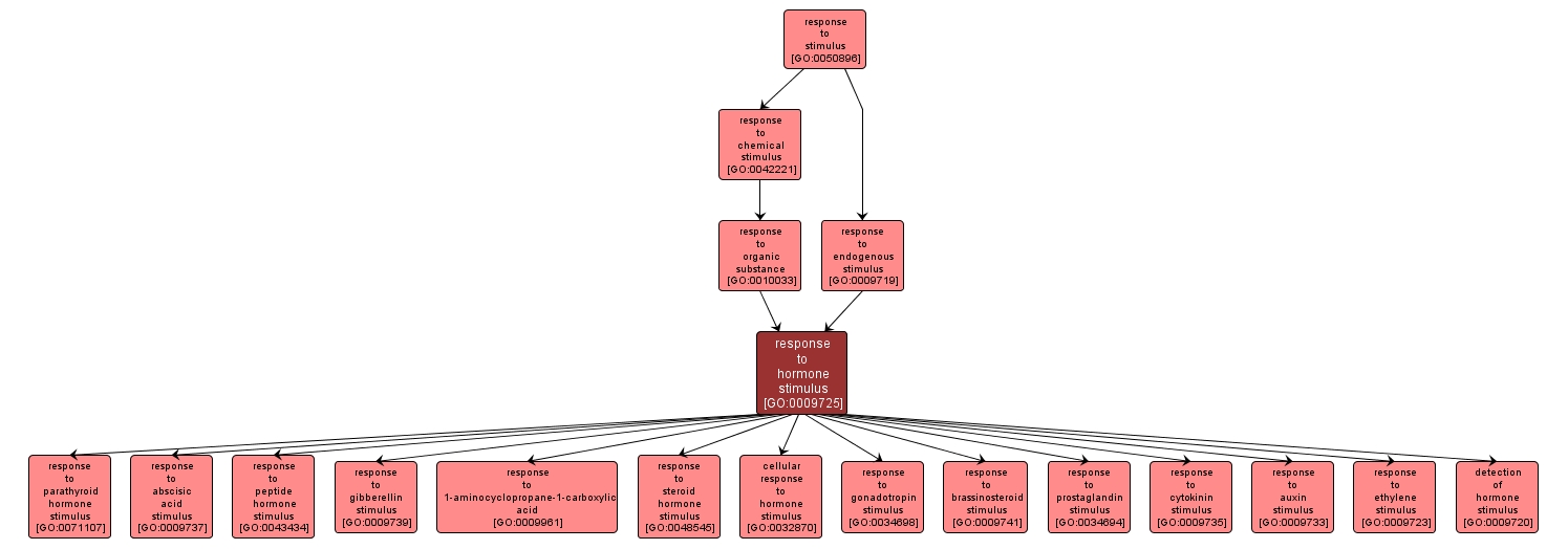 GO:0009725 - response to hormone stimulus (interactive image map)