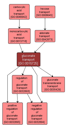 GO:0015725 - gluconate transport (interactive image map)