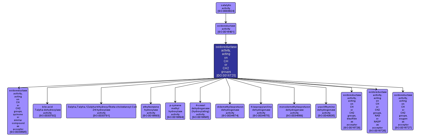 GO:0016725 - oxidoreductase activity, acting on CH or CH2 groups (interactive image map)