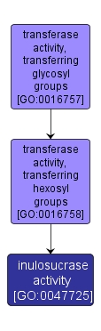 GO:0047725 - inulosucrase activity (interactive image map)