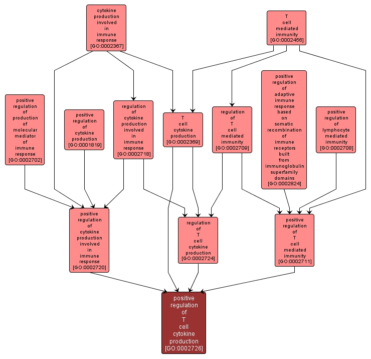 GO:0002726 - positive regulation of T cell cytokine production (interactive image map)